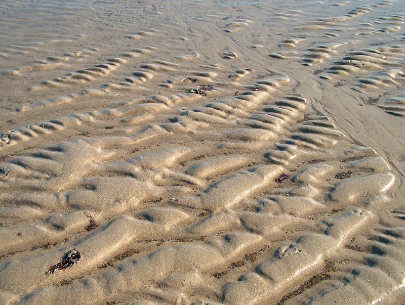 Mystery Image