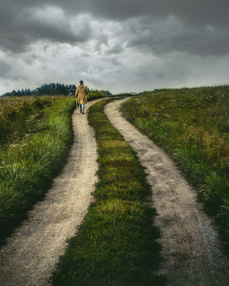 Cryptic Journeys